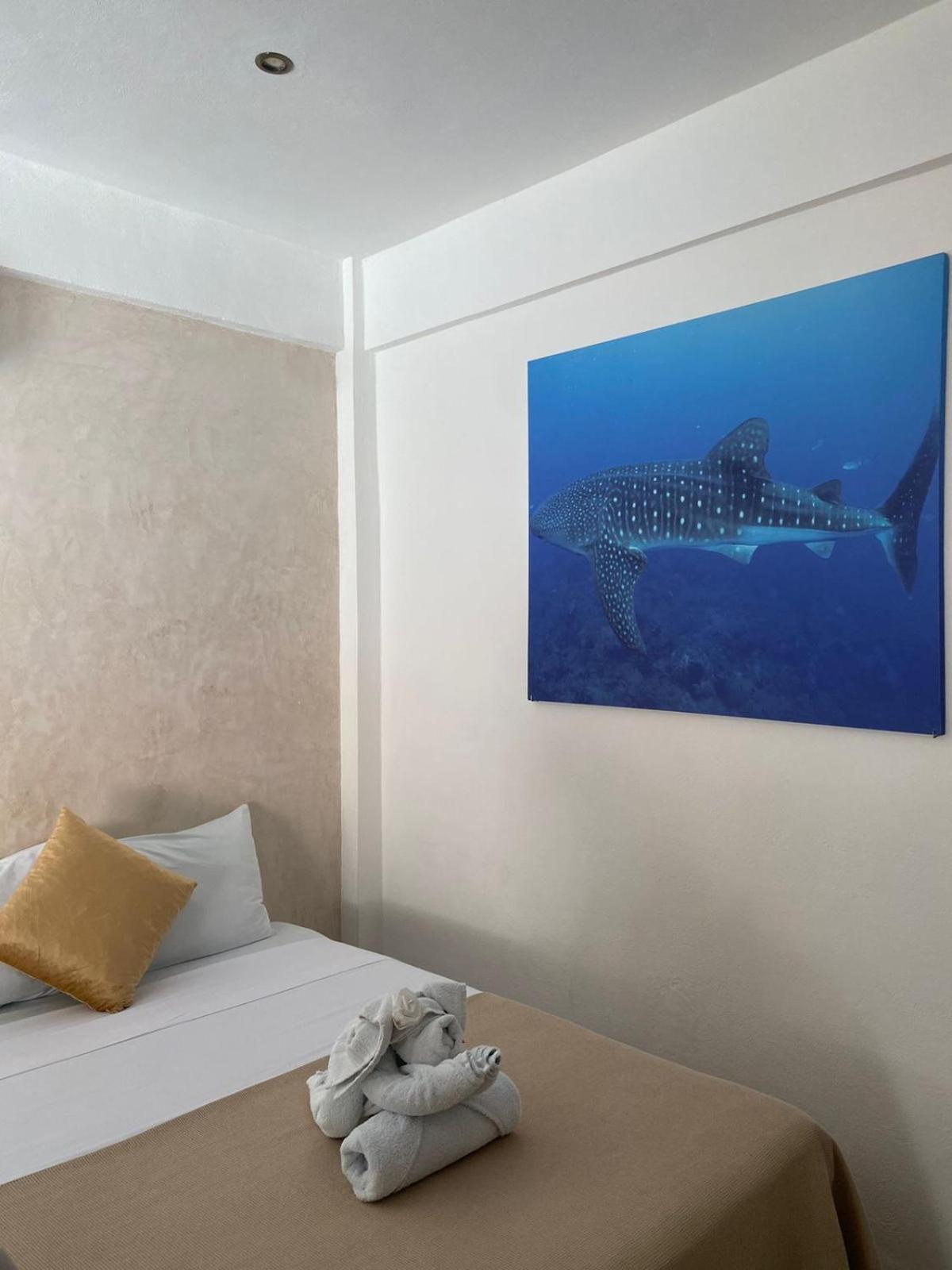 Hotel Pelecanus Suites Holbox Exterior photo