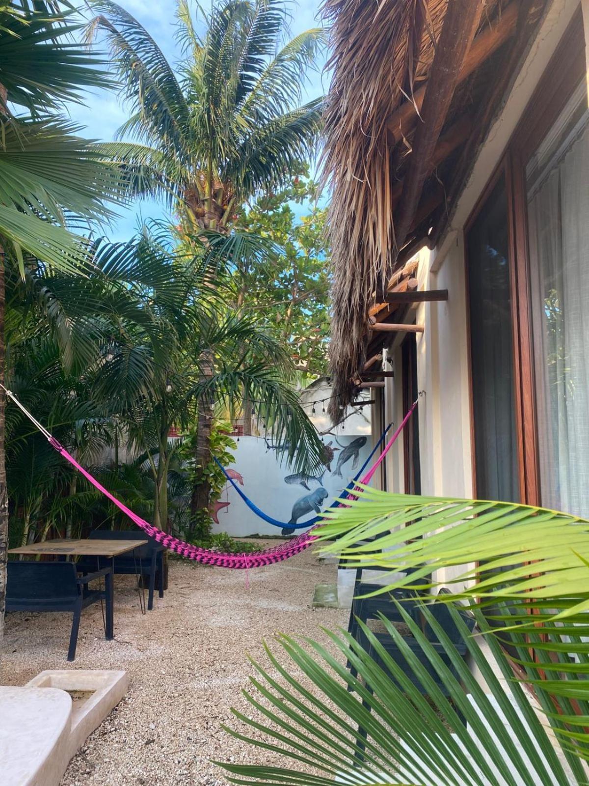 Hotel Pelecanus Suites Holbox Exterior photo