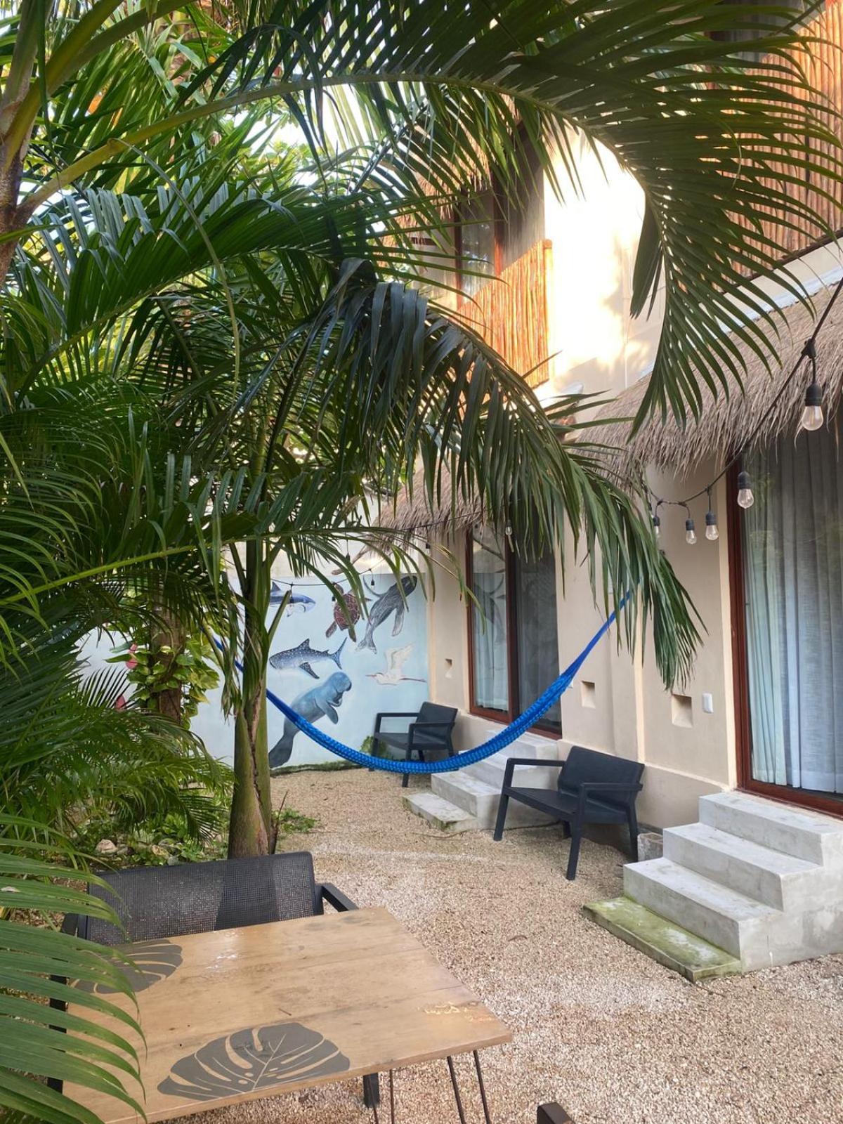 Hotel Pelecanus Suites Holbox Exterior photo