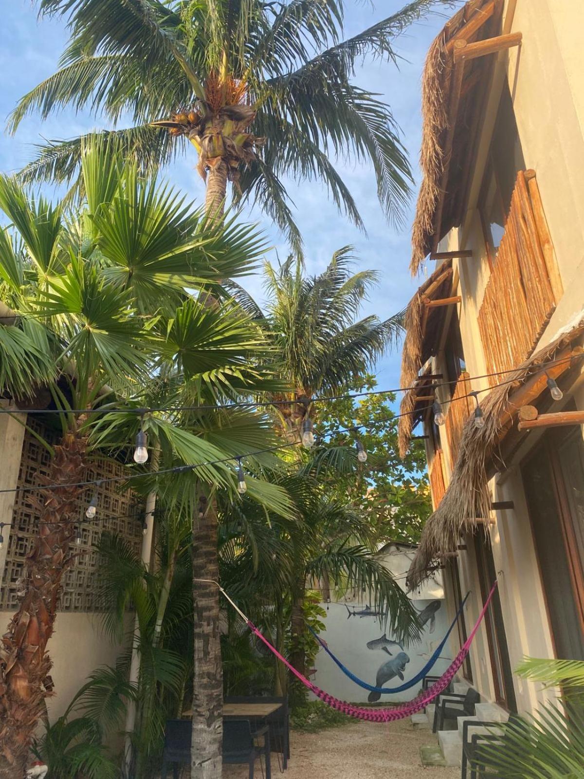 Hotel Pelecanus Suites Holbox Exterior photo